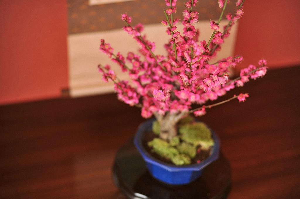 Onsen Hostel Hinoemi Атамі Номер фото
